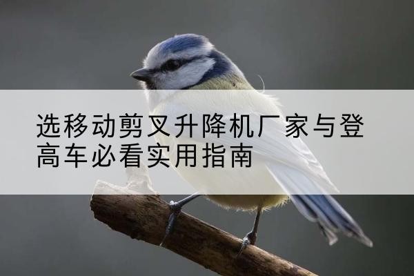 呼图壁电动升降机厂家-选移动剪叉升降机厂家与登高车必看实用指南