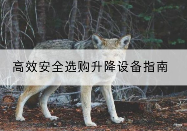 呼图壁升降货梯厂家推荐-*安全选购升降设备指南